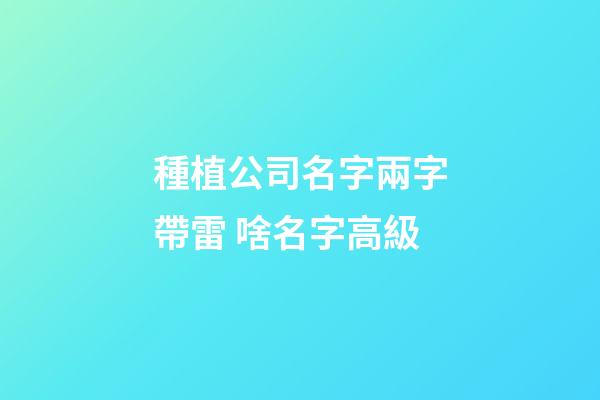 種植公司名字兩字帶雷 啥名字高級-第1張-公司起名-玄機派